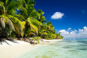 aluminium-print-the-deserted-island
