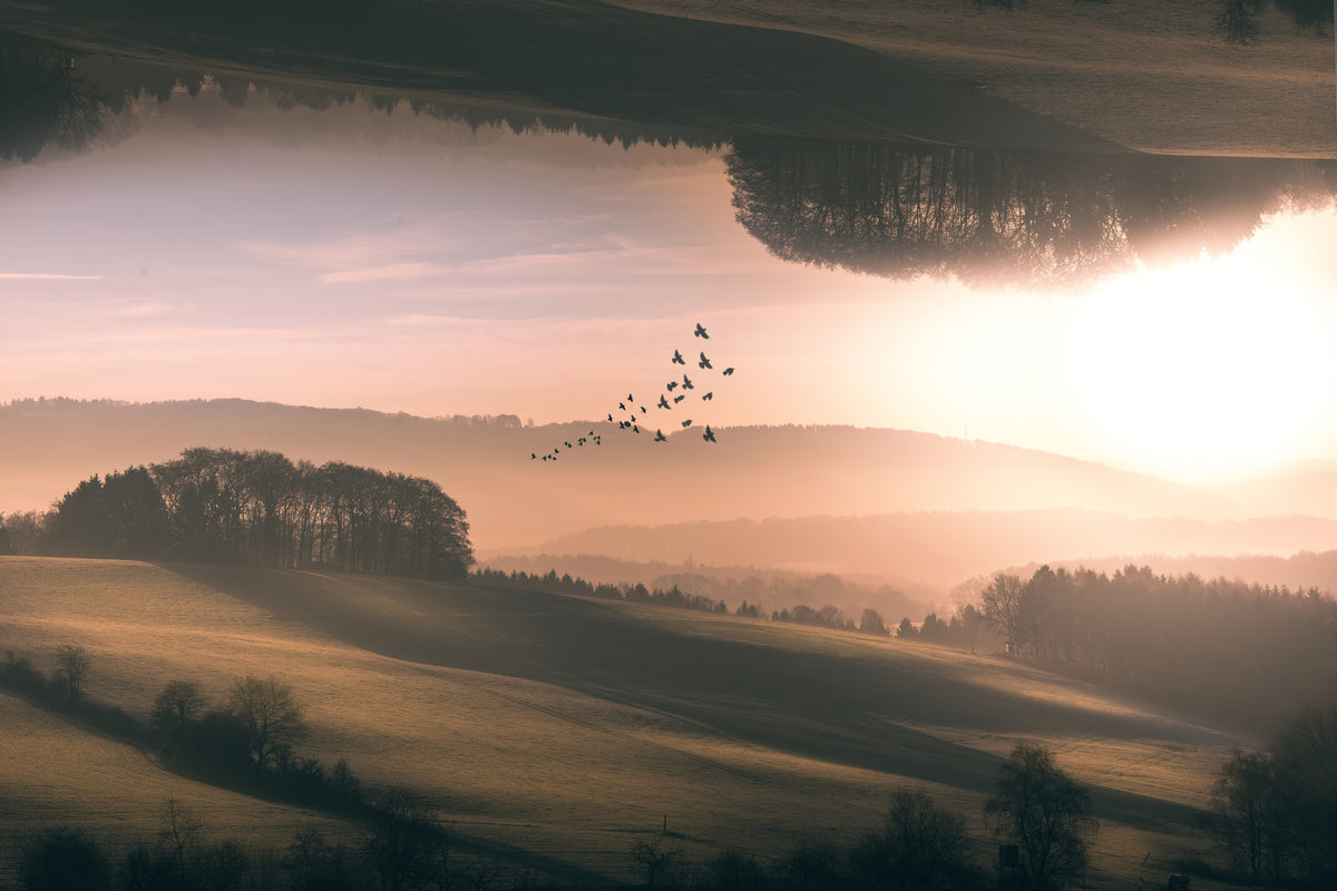poster-print-interplanar