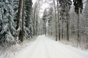 3-piece-aluminium-print-snow-in-the-forest