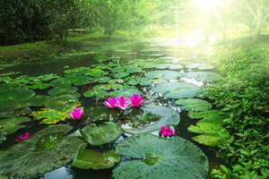 modern-3-piece-canvas-print-garden-pond