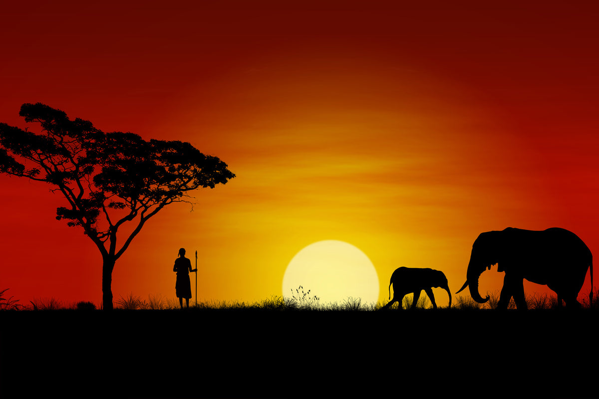canvas-print-african-steppe-elephant