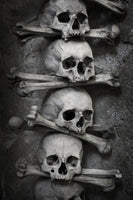 aluminium-print-skulls