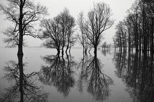 framedposter-print-flood-x