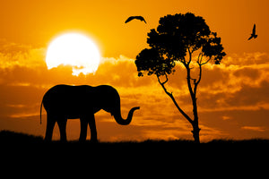 canvas-print-dreamy-africa
