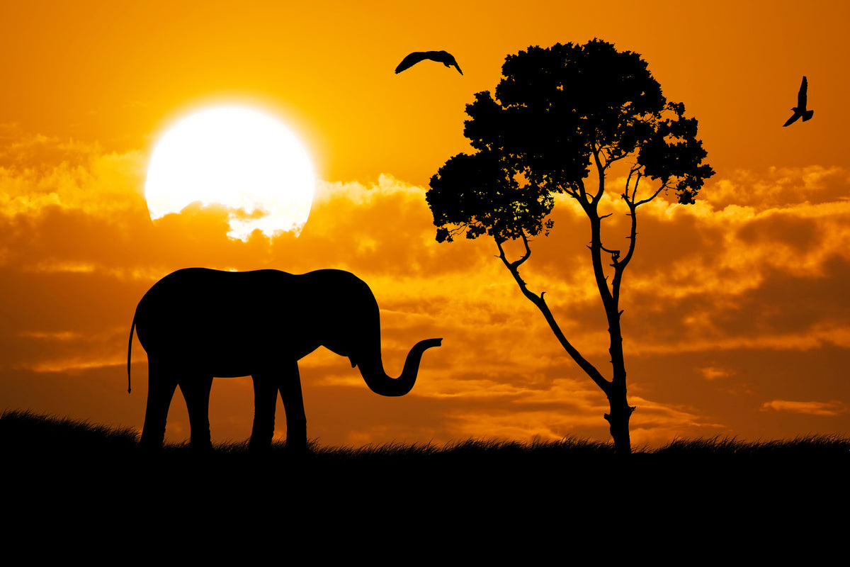 canvas-print-dreamy-africa