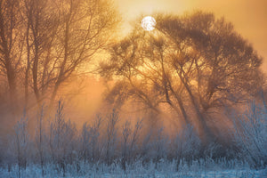 canvas-print-warm-and-cold-x