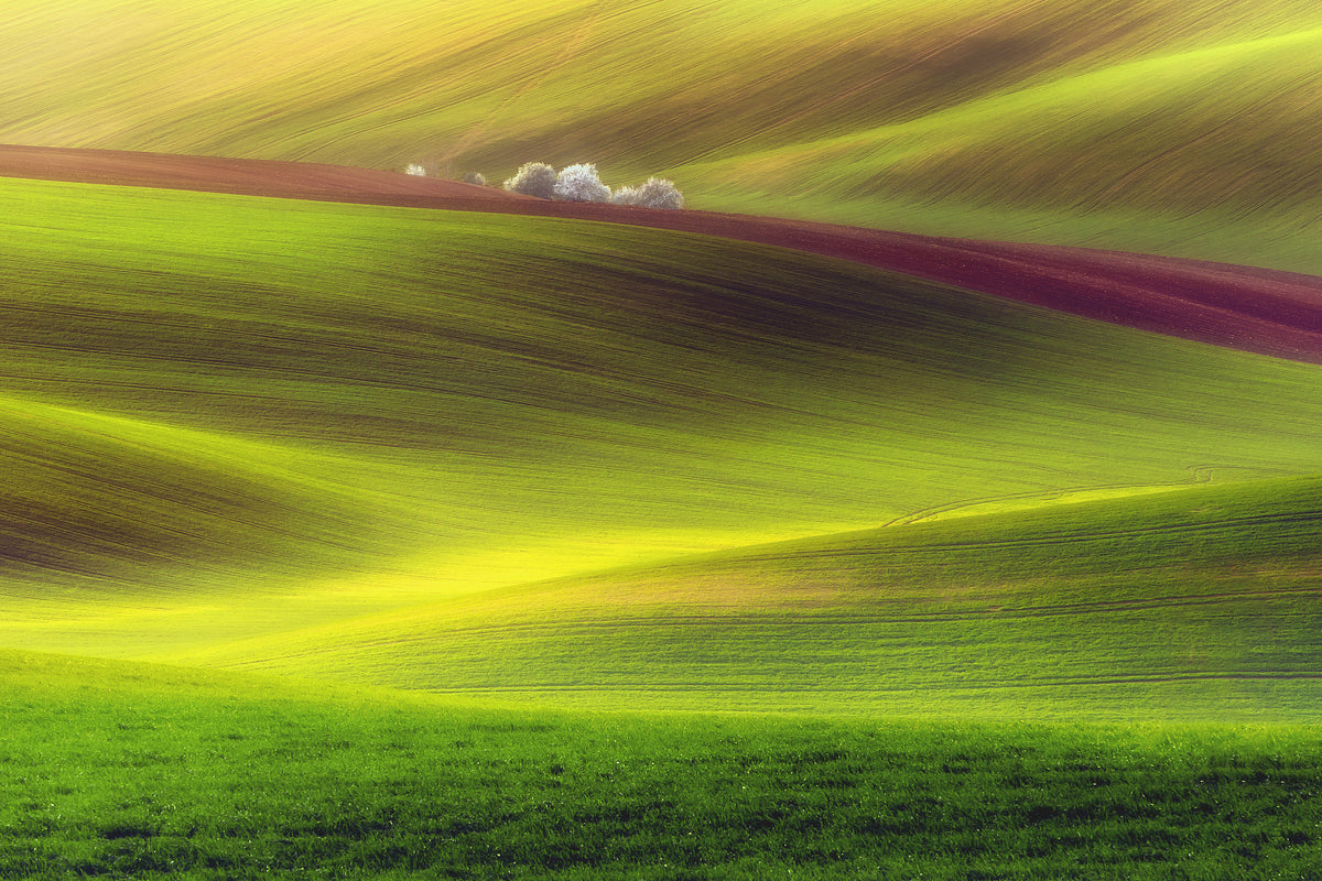 framedcanvas-print-golden-fields-x