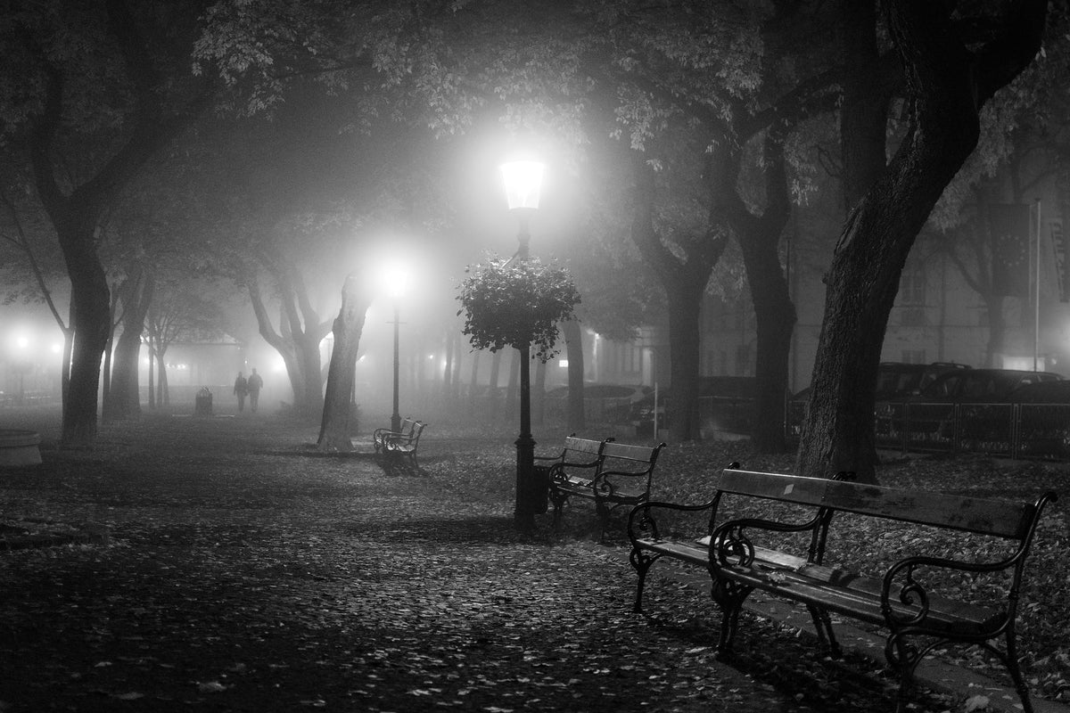 framedposter-print-foggy-day-x