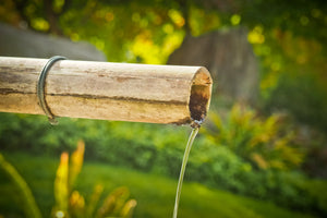 canvas-print-the-bamboo-pipe