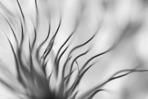 modern-3-piece-aluminium-print-untitled-xvii-p