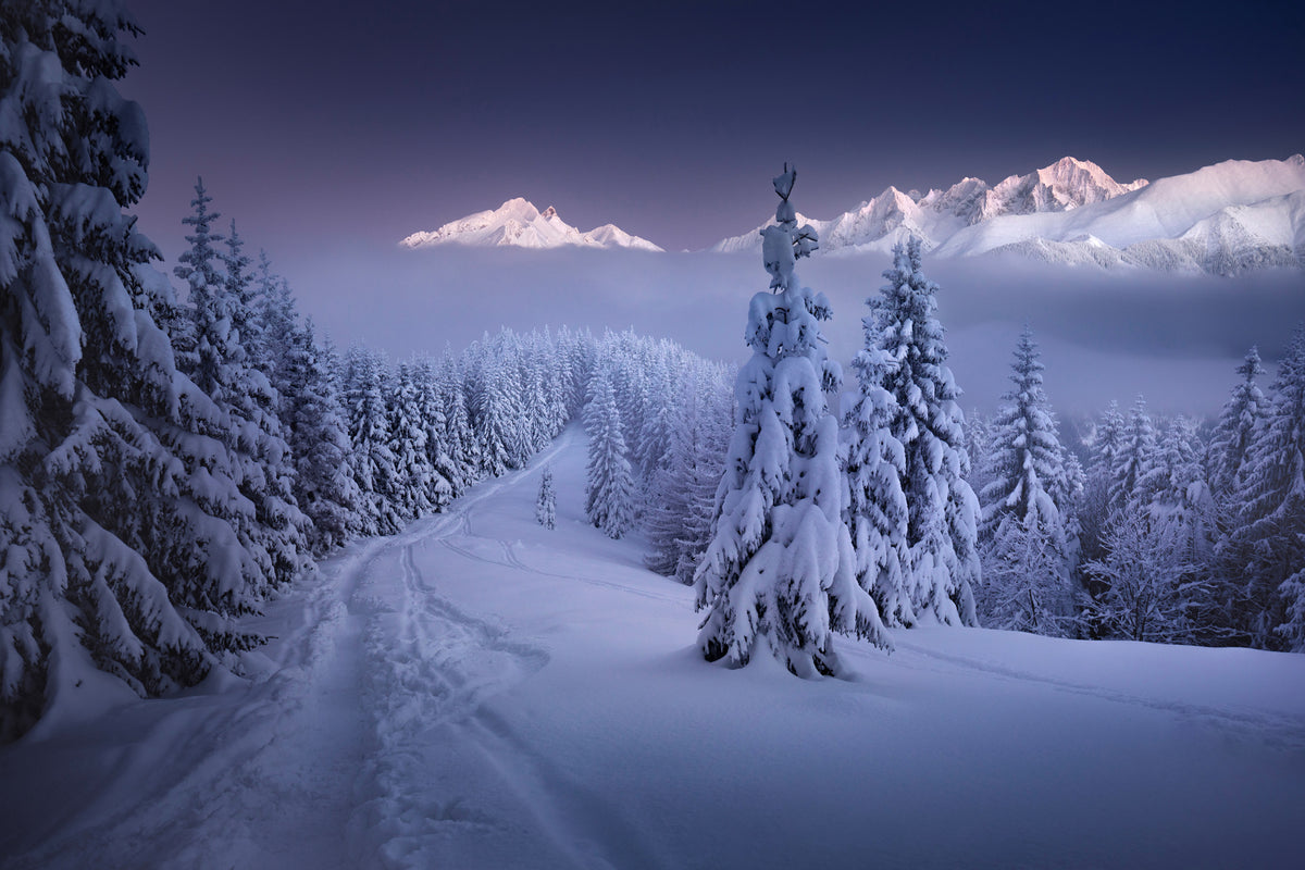 poster-print-in-the-winter-x