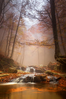 poster-print-mistyc-mist-x