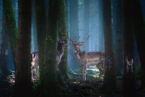 3-piece-canvas-print-deers