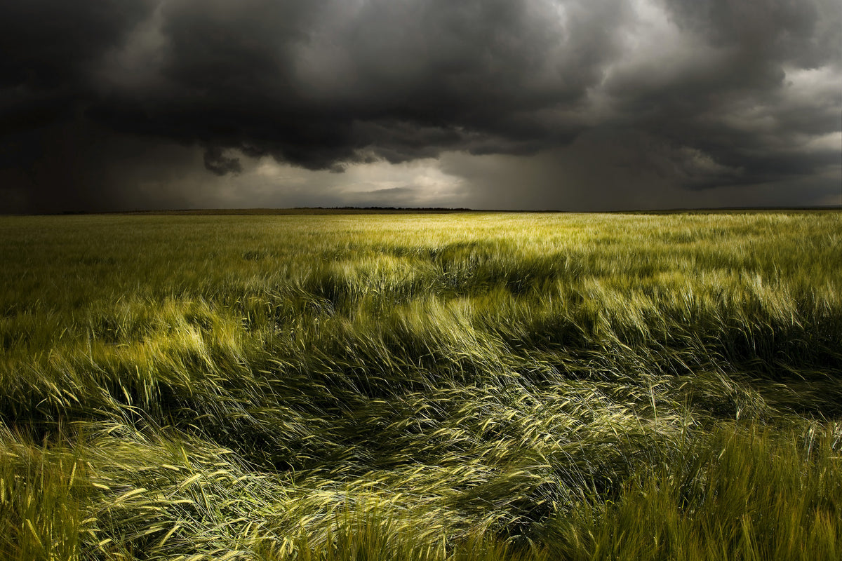 framedcanvas-print-summer-weather