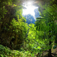 9-piece-aluminium-print-clearing-in-the-jungle