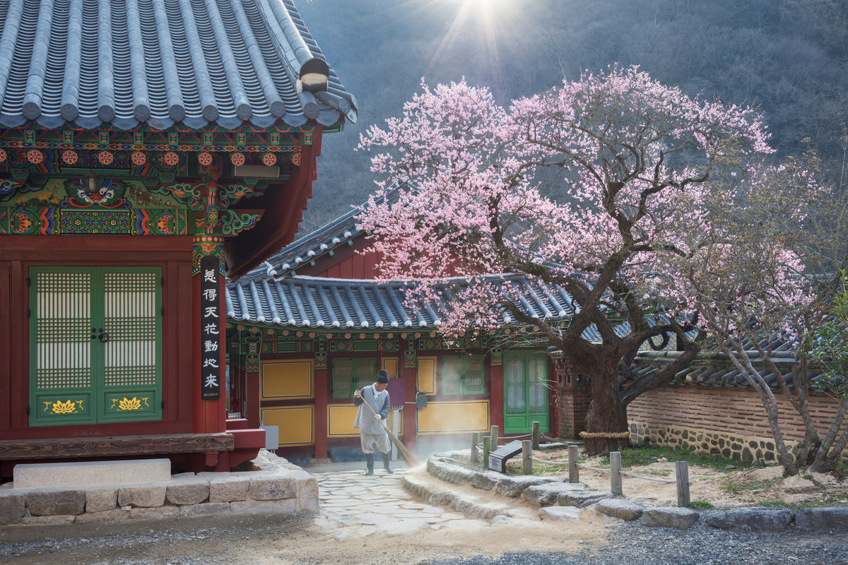 aluminium-print-the-scent-of-spring-x