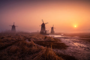 framedposter-print-foggy-morning-xji