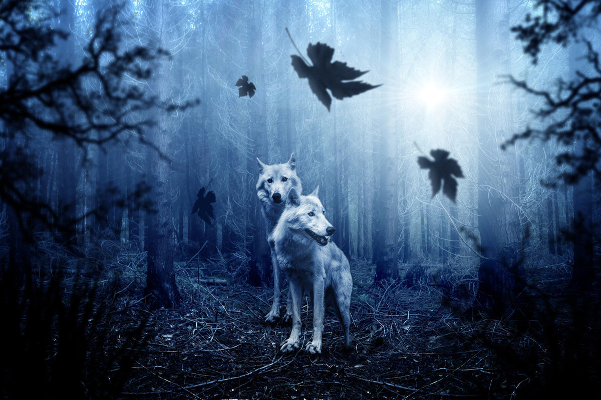 3-piece-aluminium-print-wolf39s-couple
