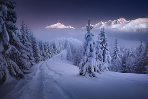 canvas-print-in-the-winter-x