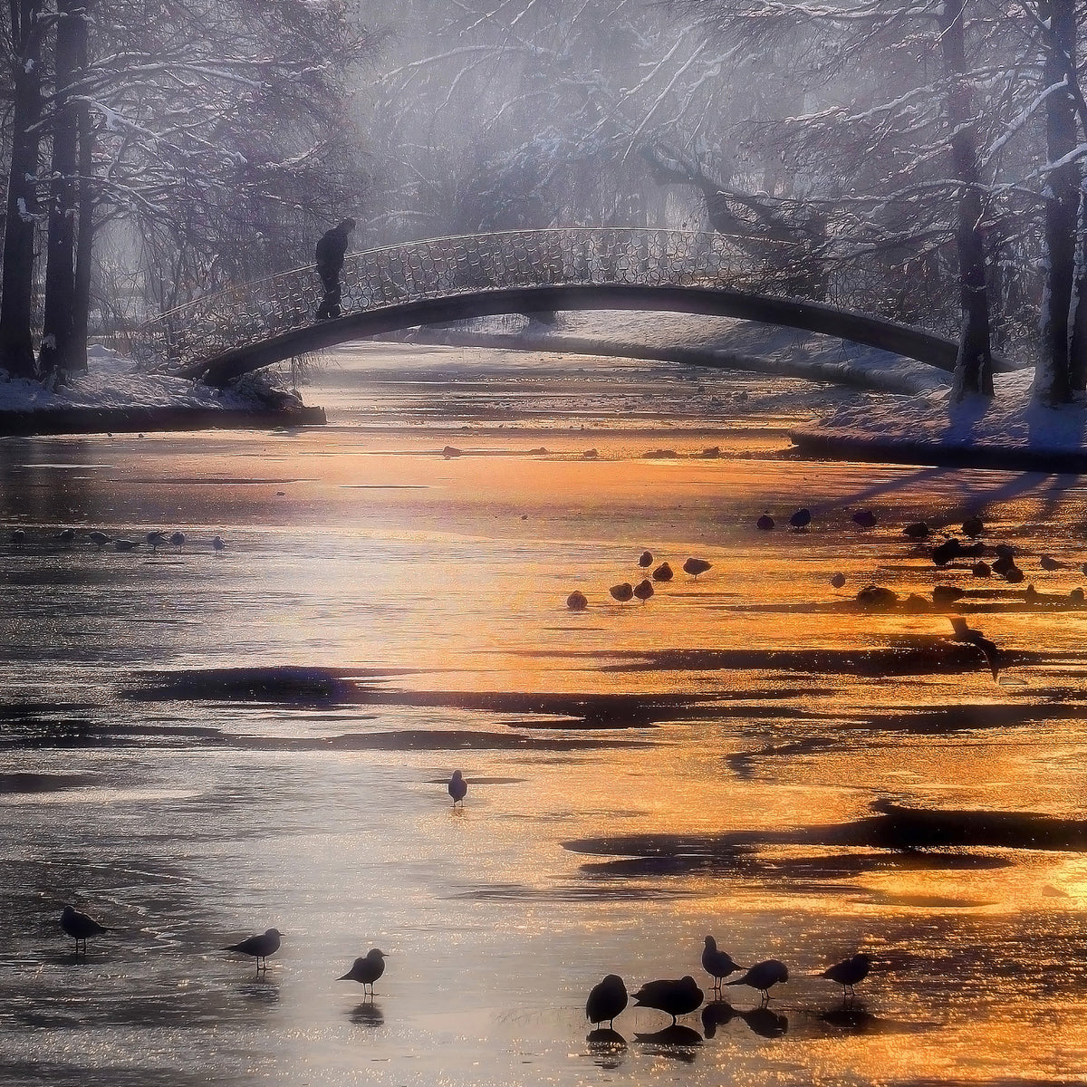 canvas-print-frozen-lake-x
