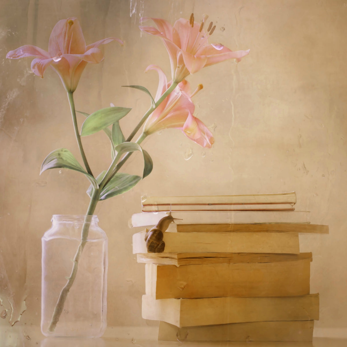 4-piece-canvas-print-slowly-but-surely