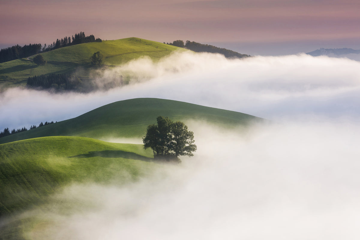 framedcanvas-print-green-hills-x