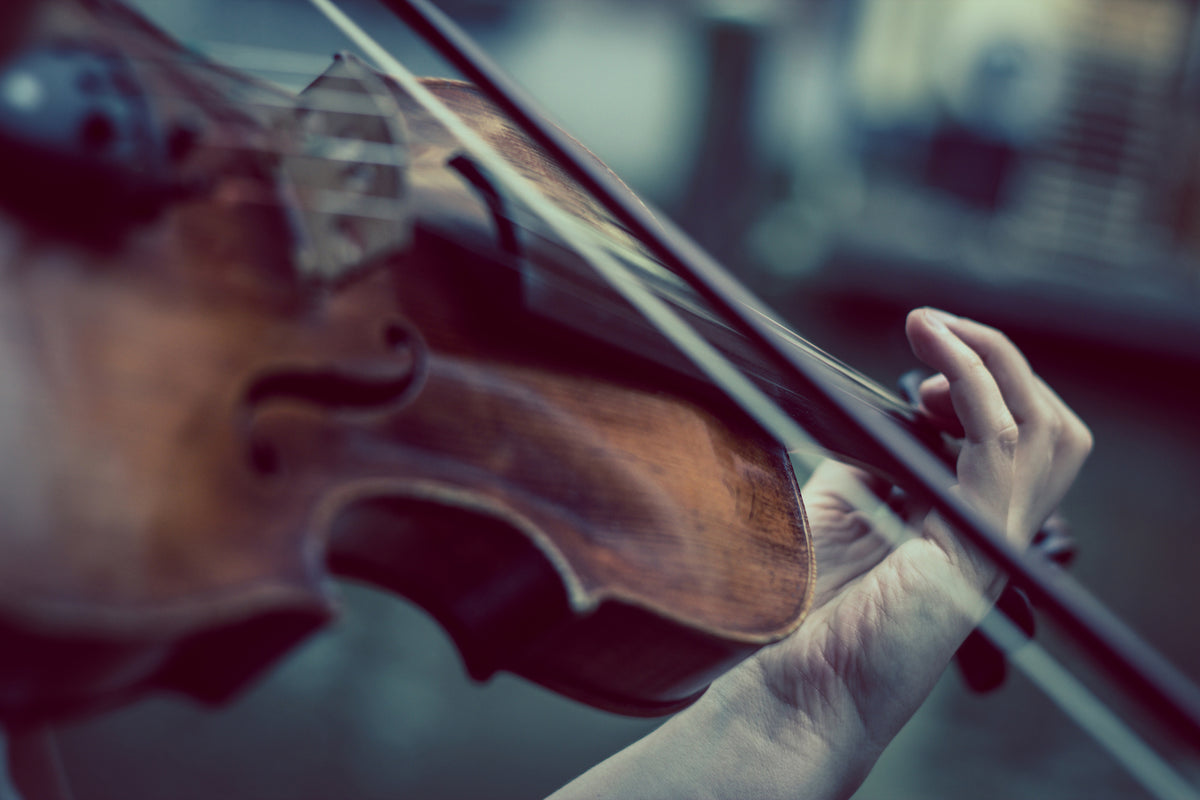 poster-print-violin