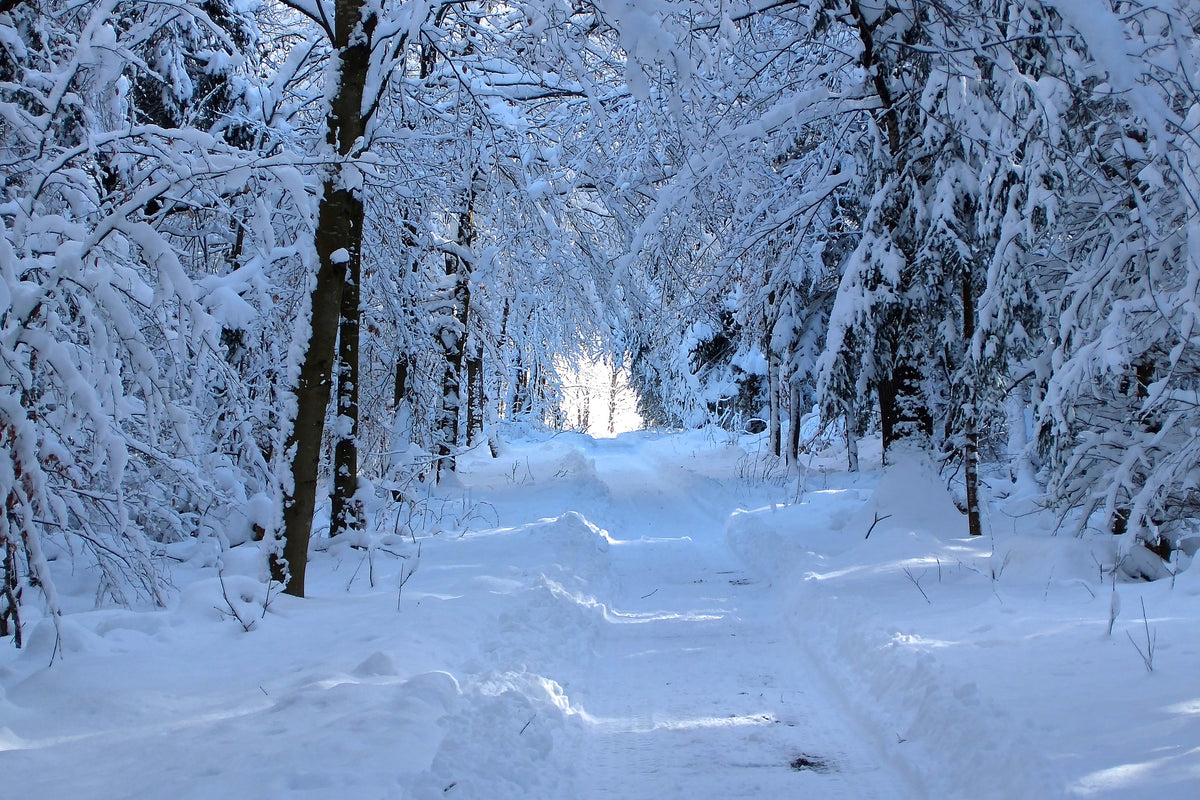 poster-print-finally-winter