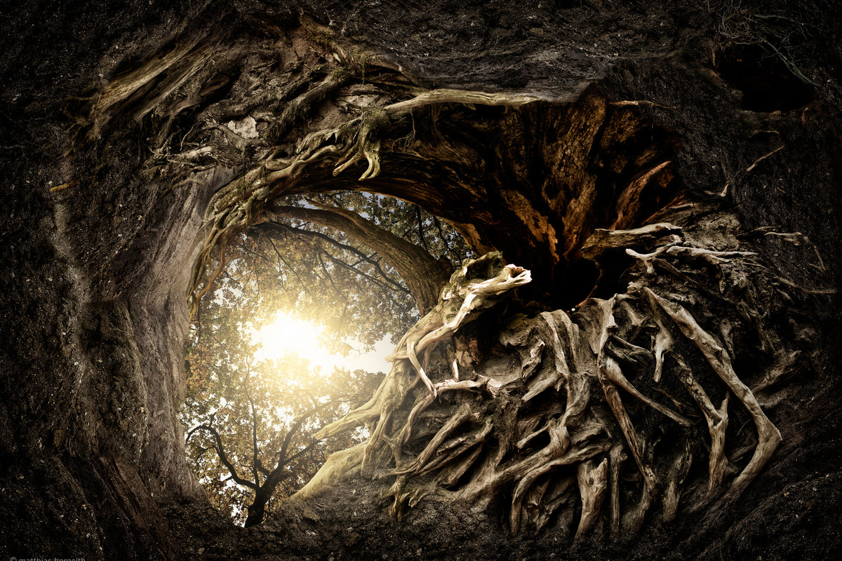 poster-print-under-the-trees