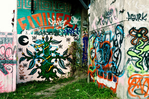 poster-print-graffiti-in-the-backyard
