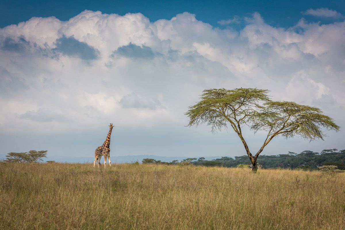 acrylic-print-east-africa