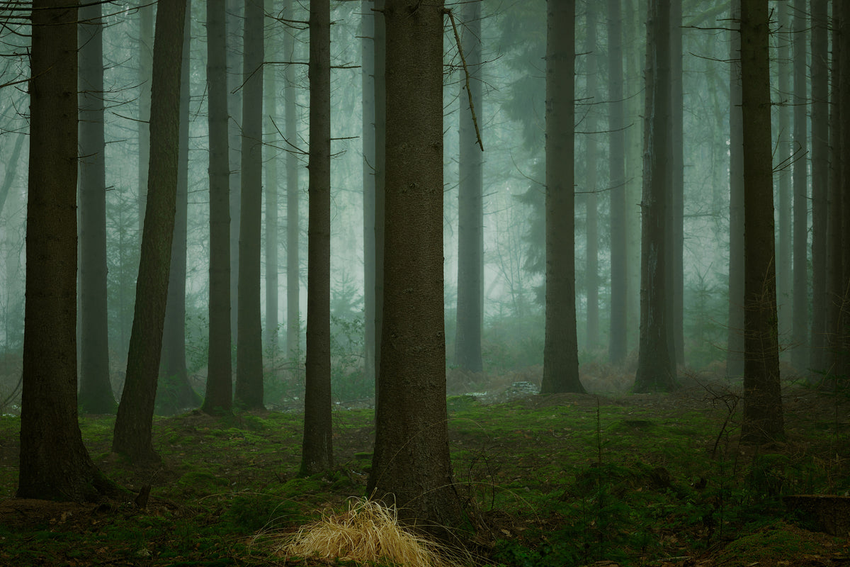 poster-print-the-cold-dark-days-of-winter-x