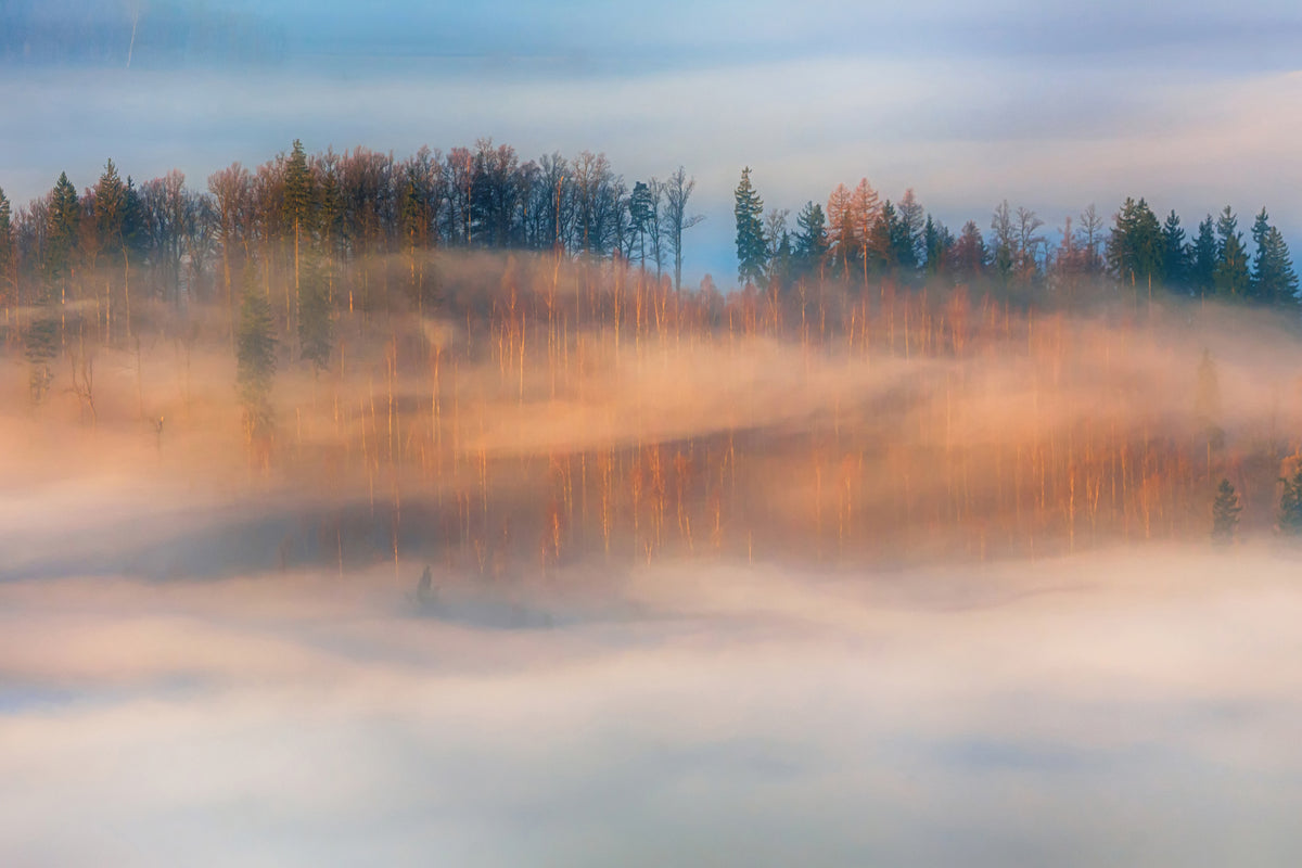 aluminium-print-in-the-morning-mists
