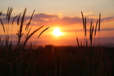 poster-print-adorable-sunset