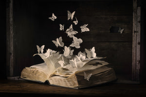 canvas-print-lepidopterology