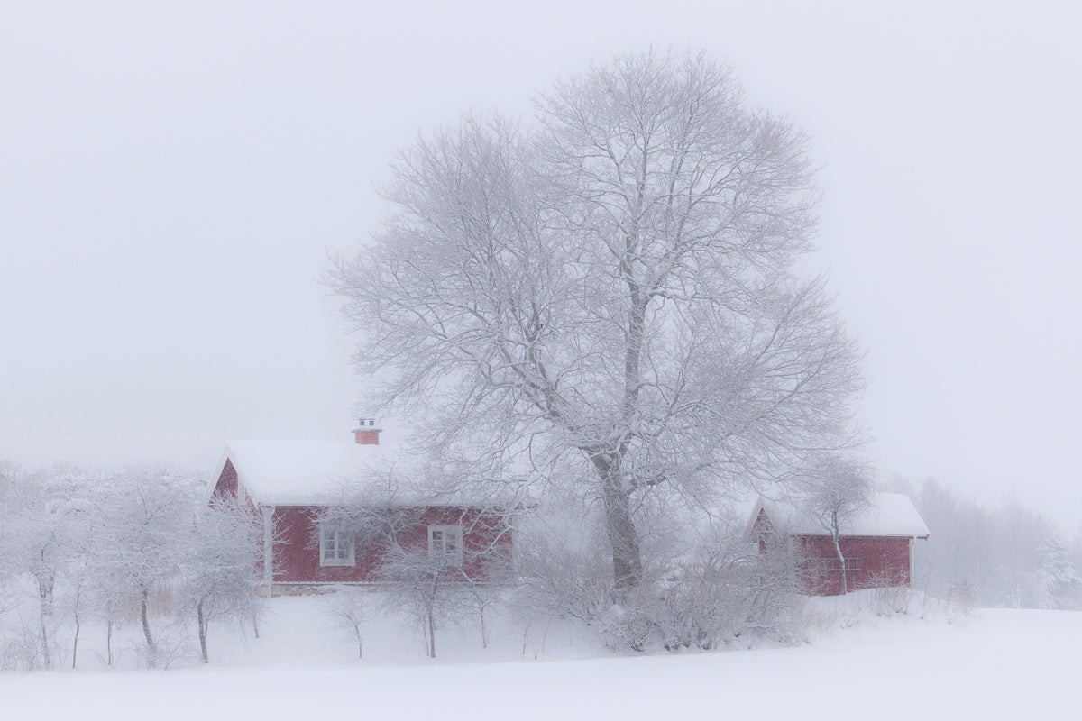 poster-print-winter-idyll-x