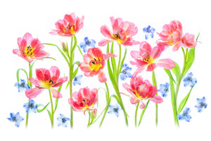 framedcanvas-print-spring-delight-x