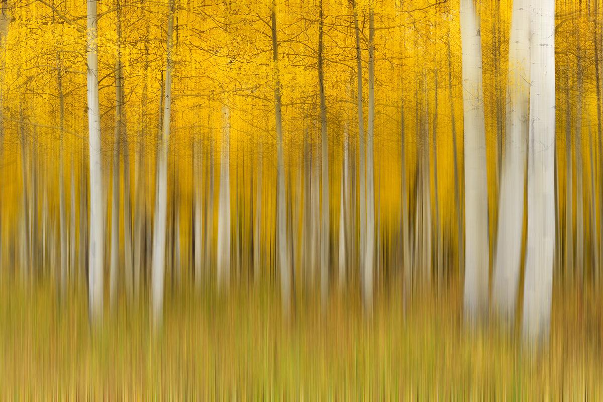 modern-3-piece-acrylic-print-autumn-dream-ii
