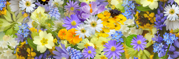 panoramic-3-piece-aluminium-print-fresh-spring-flowers-panorama