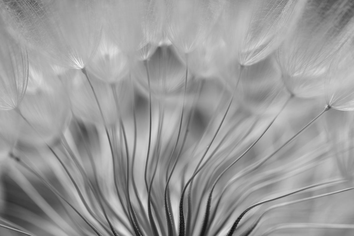 framedposter-print-dream-xir