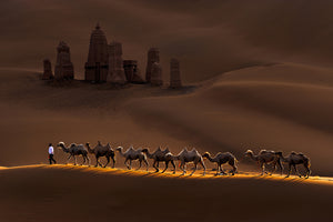 framedposter-print-castle-and-camels