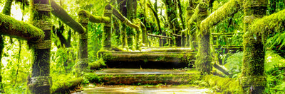 panoramic-poster-print-moss-panorama