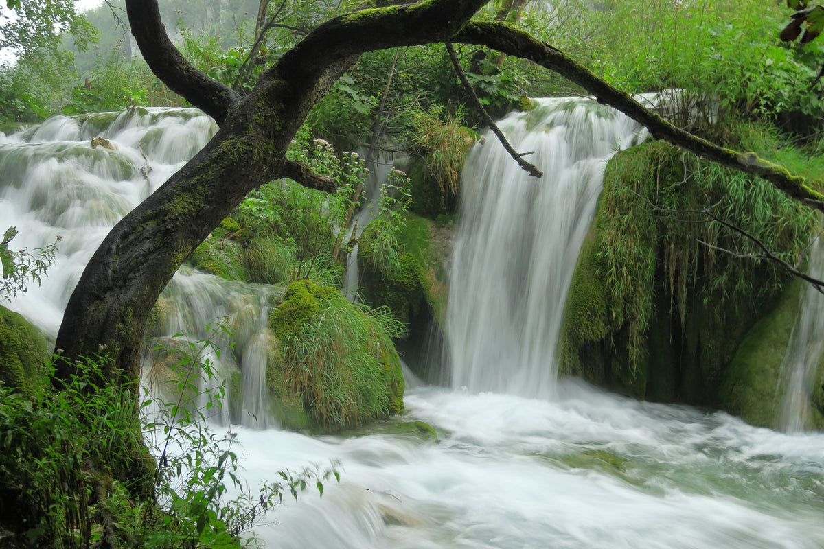 acrylic-print-in-the-national-park