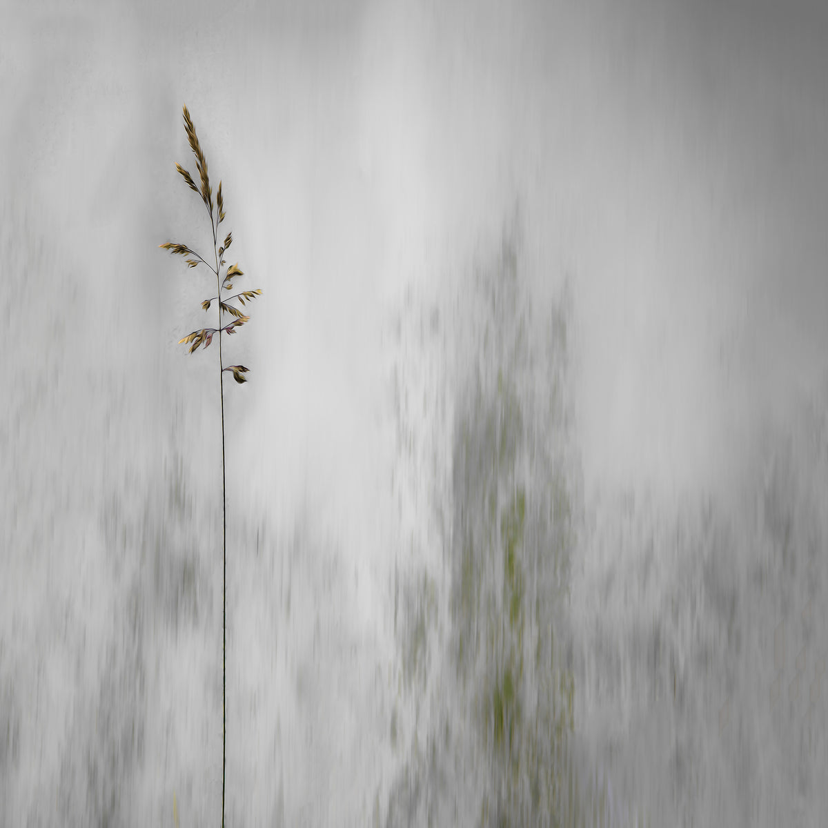aluminium-print-blade-of-grass