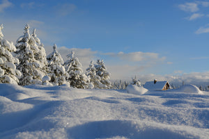 3-piece-canvas-print-beautiful-snow-landscape