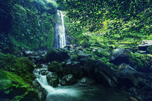 framedposter-print-nature