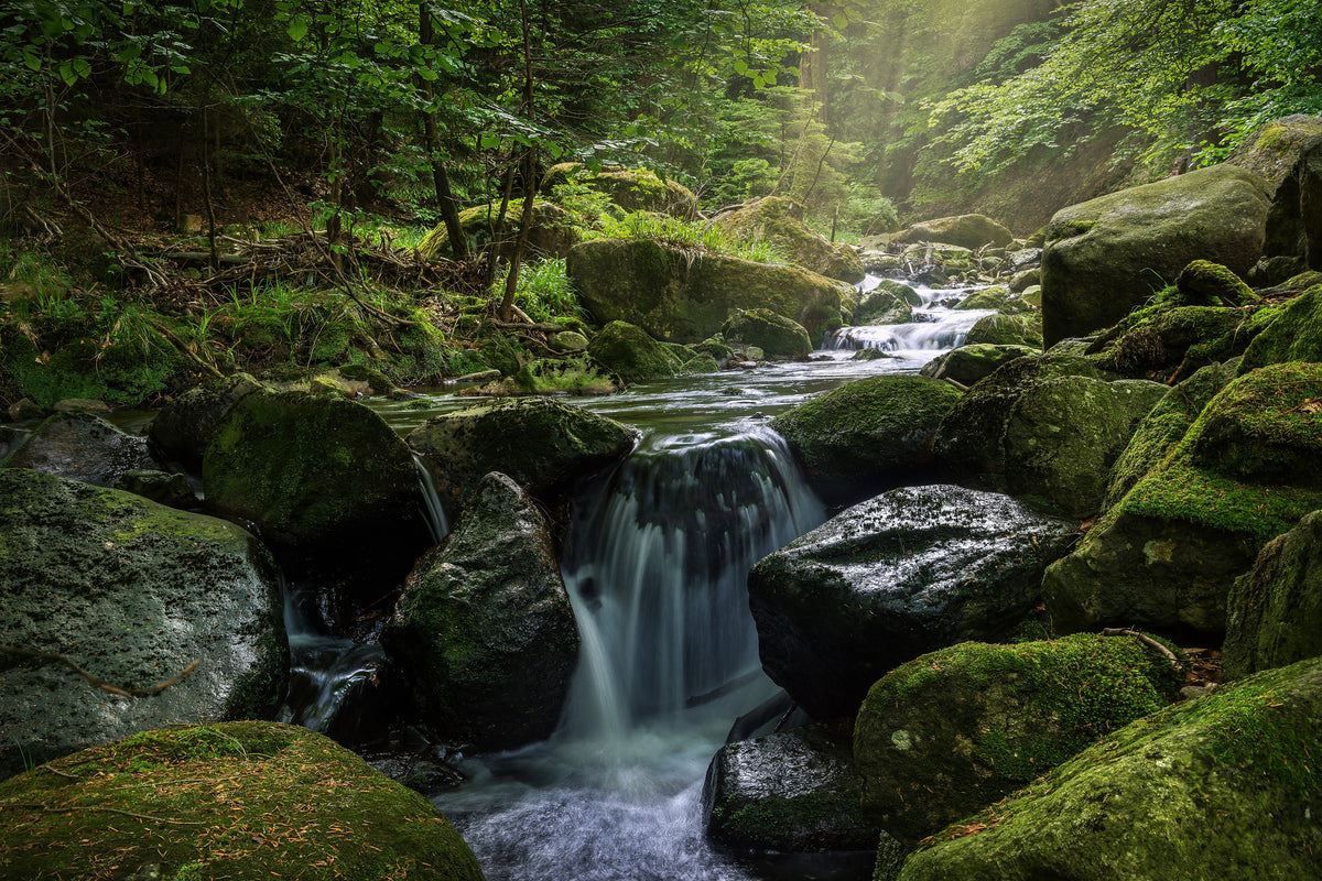 canvas-print-calming-view