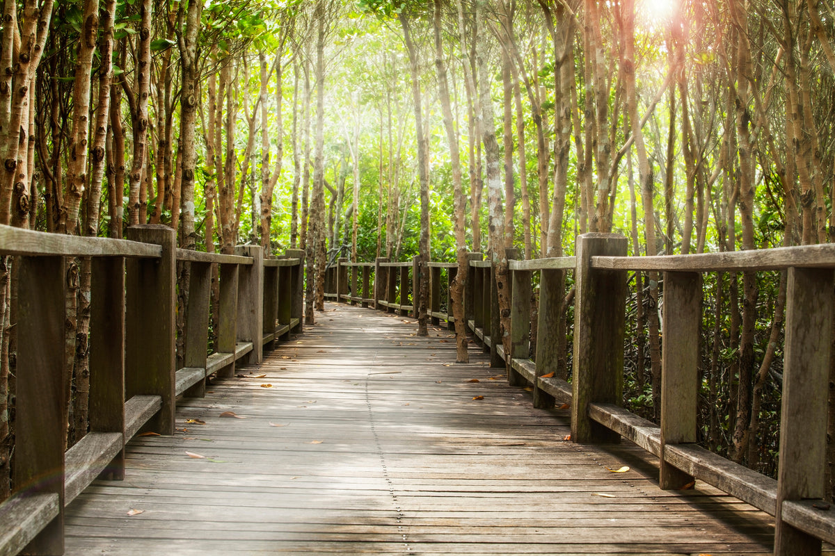 modern-3-piece-aluminium-print-wooden-bridge