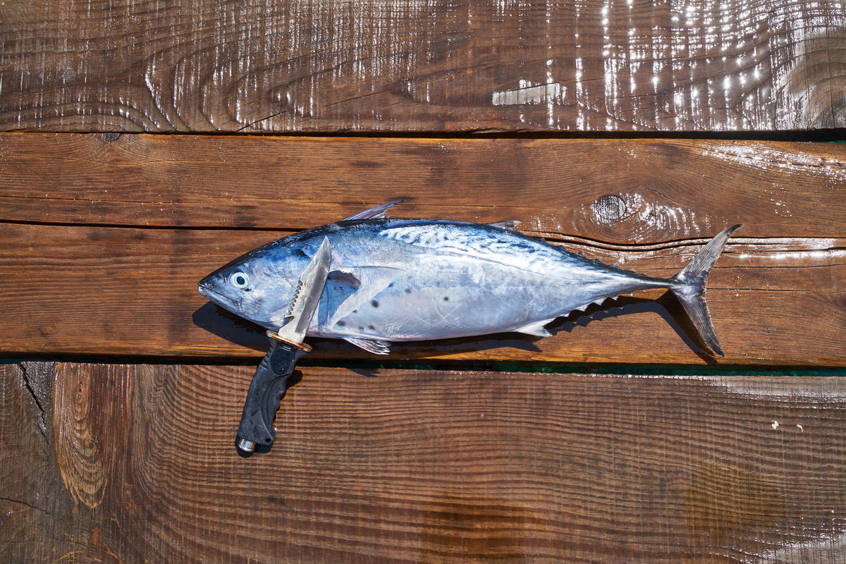 poster-print-the-fresh-fish