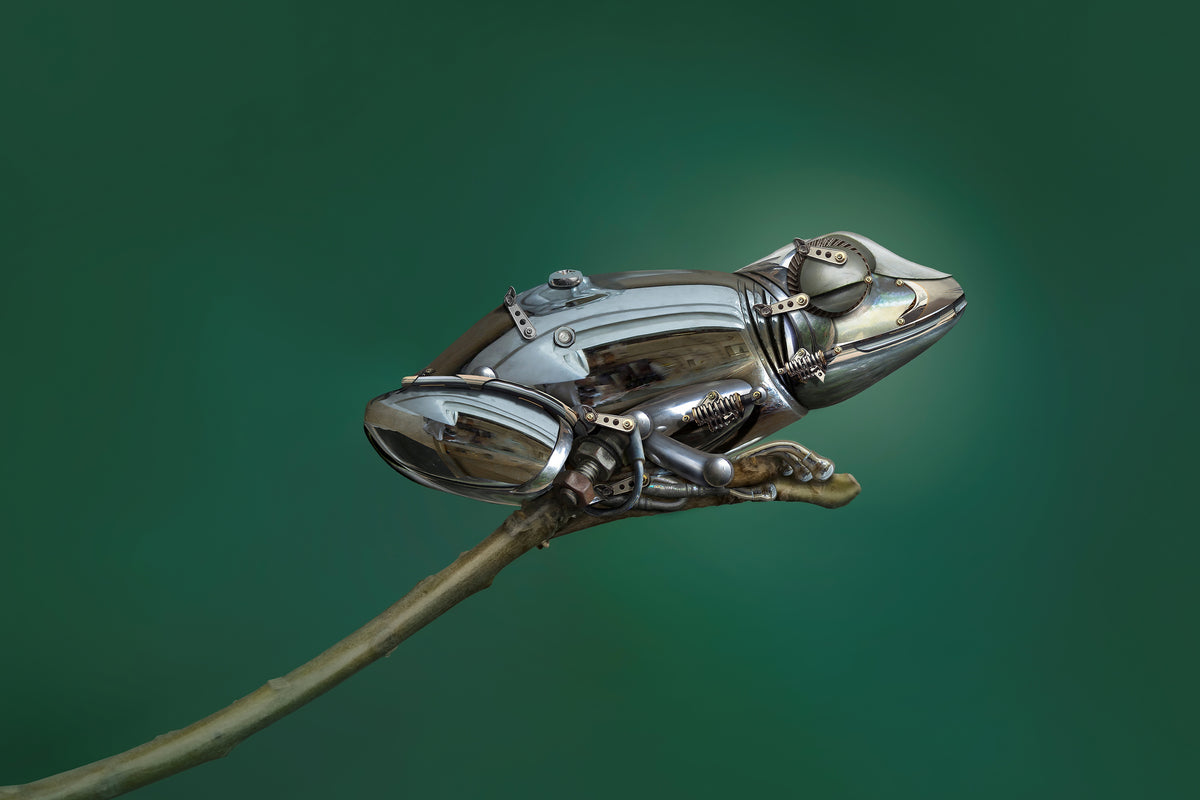 modern-3-piece-canvas-print-frog